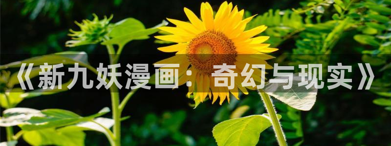 女神漫漫漫画免费观看