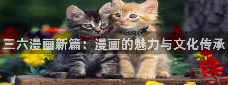 漫漫漫画免费网页
