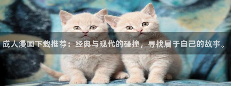 漫漫漫画网